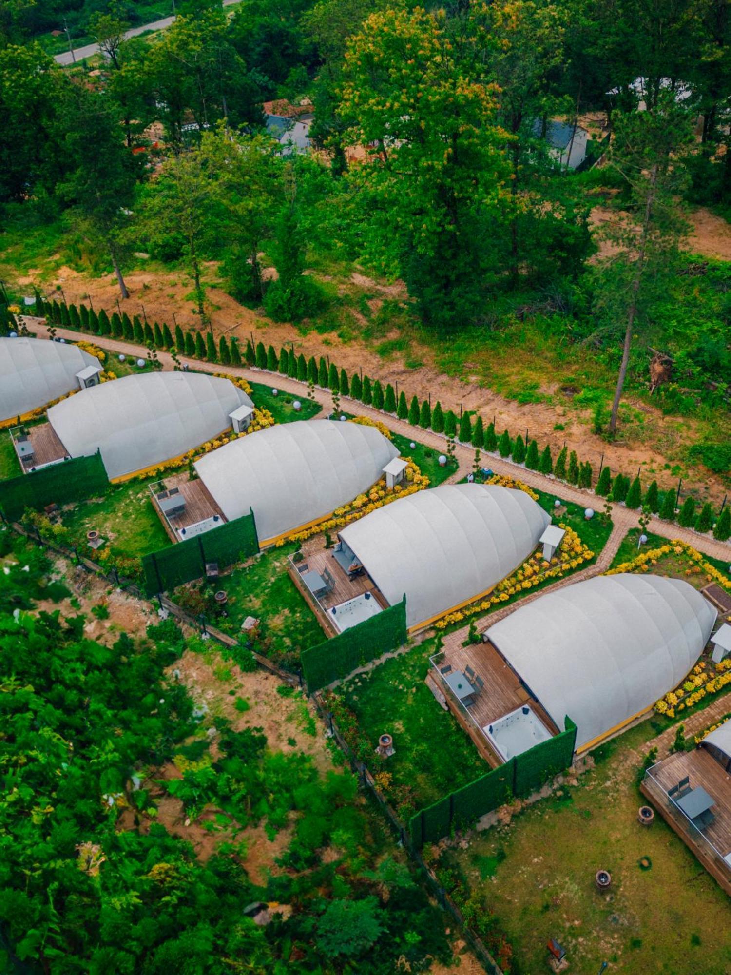 Snail House Sapanca Bed & Breakfast エクステリア 写真